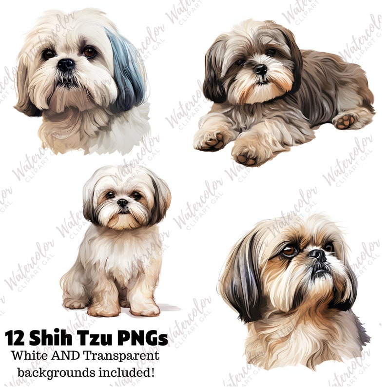 Shih Tzu Clipart Watercolor Bundle | Dog Portrait | Shih Tzu PNG | Dog ...