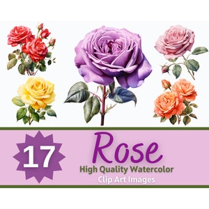 Rose Clipart PNG Watercolor Bundle | Yellow Pink Red Colorful Rose Clipart Pack | Floral Clipart | Junk Journal | Cardmaking Embellishment