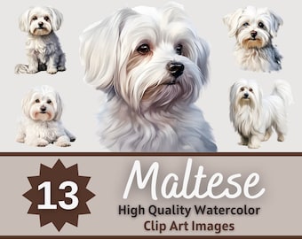 Maltese Clipart Watercolor Bundle | Dog Portrait | Maltese PNG | Junk Journal Dog | Pet Memorial | Maltese Mom | Cardmaking Embellishment