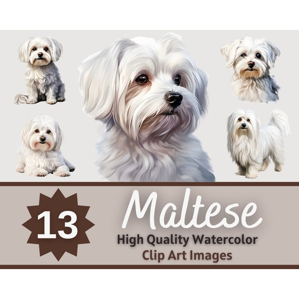 Maltesische Clipart Aquarell Bundle | Hundeportrait | Malteser PNG | Junk Journal Hund | Haustier-Denkmal | Maltesische Mama | Cardmaking Verschönerung