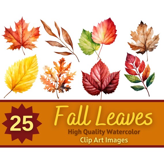 Autumn Leaves PNG Watercolor Bundle | Fall Leaves Clipart | Junk Journal Printable | Rustic Fall Seasonal Clipart | Cardmaking Embellishment