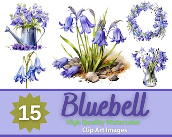Bluebell Clipart Watercolor Bundle | Bluebell Flower PNG | Floral Clipart | Flower Clipart | Junk Journal | Cardmaking | Wildflower Clipart