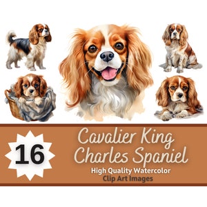Cavalier King Charles Spaniel Clipart aquarelle Bundle | Portrait de chien | Cavalier King Charles PNG | Journal indésirable | Embellissement de la fabrication de cartes