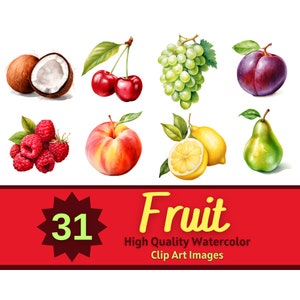 Obst Clipart Aquarell Bundle | Obst Kunstdruck | Essen Clipart | Kochen Clipart | Rezeptbuchkunst | Junk-Journal | Natur Clipart