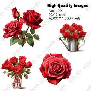 Red Rose Clipart PNG Watercolor Bundle | Valentine's Day Clipart ...