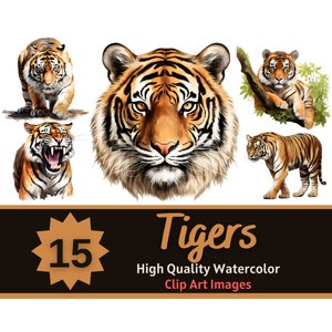 Tiger PNG Watercolor Bundle | Wild Animal Clipart | Tiger Nursery Art | Jungle Animal PNG | Tiger Clipart | Junk Journal | Digital Art Print
