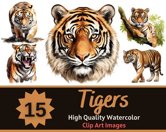 Tiger PNG akvarellpaket | Vilda djur Clipart | Tiger Barnkammarkonst | Djungeldjur PNG | Tiger Clipart | Skräpjournal | Digitalt konsttryck