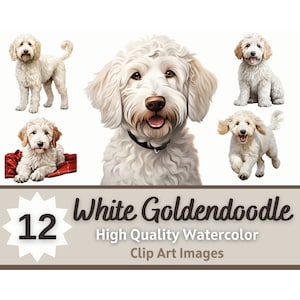 Witte Goldendoodle PNG Clipart aquarel bundel | Hondenportret | Hondenliefhebber kunst | Junk Journal Honden | Versiering van kaarten maken