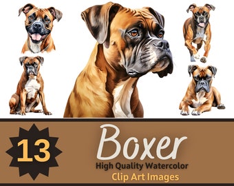 May include: A collection of 13 watercolor clip art images featuring Boxer dogs in various poses. The dogs are depicted in shades of brown, tan, and white, with detailed facial features and expressions. The text "Boxer" and "High Quality Watercolor Clip Art Images" are also included.