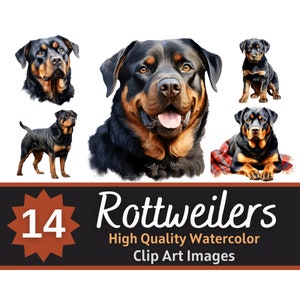 Rottweiler Clipart Watercolor Bundle | Dog Portrait | Rottweiler PNG | Junk Journal Dogs | Rottweiler Memorial |  Cardmaking Embellishment
