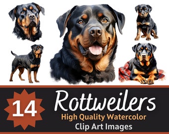 May include: A set of 14 watercolor illustrations of Rottweilers in various poses. The illustrations are high quality and perfect for use in digital or printed projects.