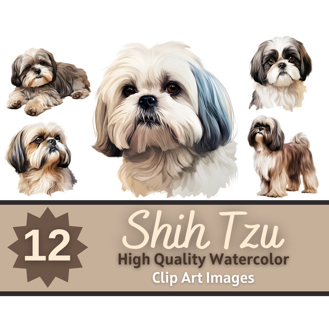 Shih Tzu Clipart Watercolor Bundle | Dog Portrait | Shih Tzu PNG | Dog ...