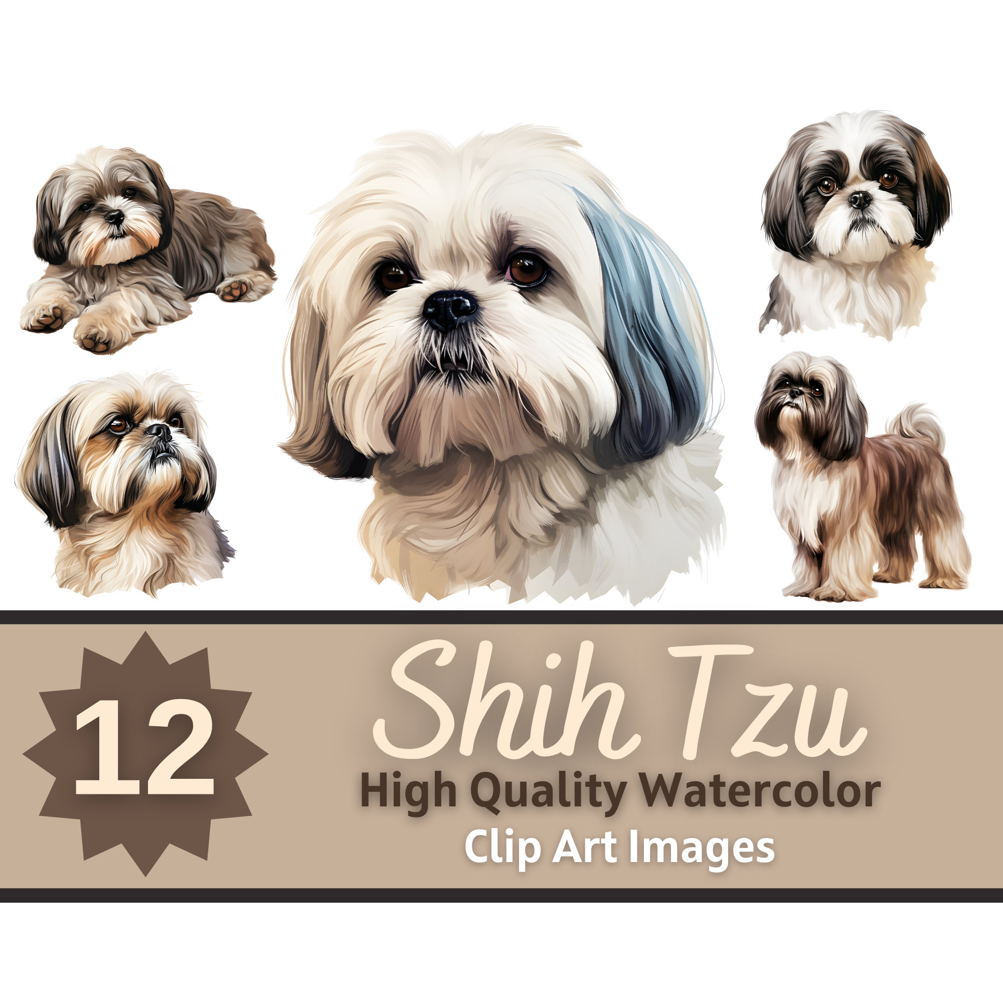Shih Tzu Clipart Watercolor Bundle Dog Portrait Shih Tzu PNG Dog Lover ...
