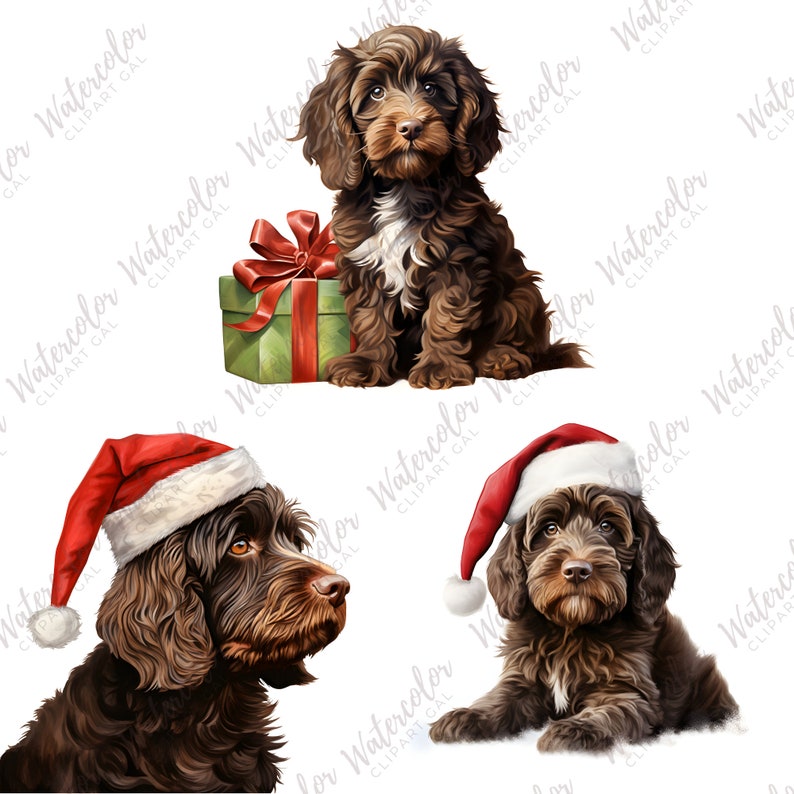 Christmas Chocolate Cockapoo PNG Bundle | Christmas Dog Clipart ...