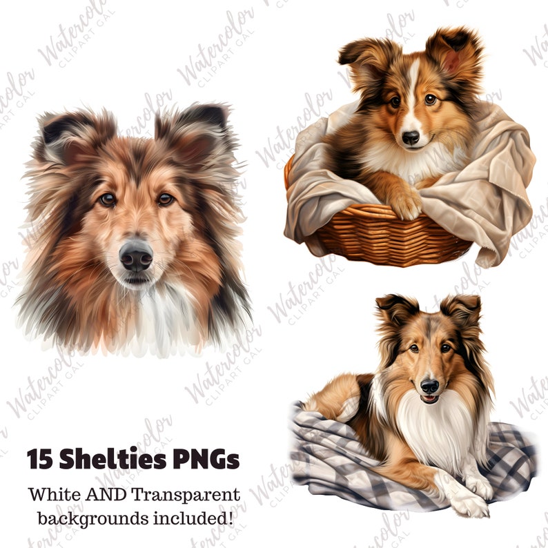 Sheltie Simple Image Sheltie Clipart Watercolor Bundle | Dog Portrait | Sheltie PNG | Pet ...