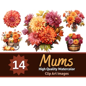 Mamas Clipart PNG Aquarell Bundle | Mamas Blume PNG | Blumen Clipart | Blumen Clipart | Blumen Junk Journal | Cardmaking Verschönerung