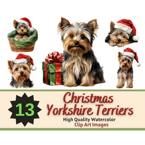 Weihnachten Yorkshire Terrier PNG Aquarell Bündel | Hund Hund Clipart | Urlaub Junk Journal | Yorkie Clipart | Digitaler Hundedruck