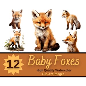 Bébé Renard Clipart PNG Aquarelle Bundle | Bébés animaux Clipart | Décor de pépinière boisée | Animaux mignons PNG | Animaux Des Bois Clipart