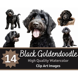 Pacote aquarela clipart Goldendoodle preto | Retrato de cachorro | Doodle Dourado Preto PNG | Cães memoriais para animais de estimação | Enfeite para confecção de cartões