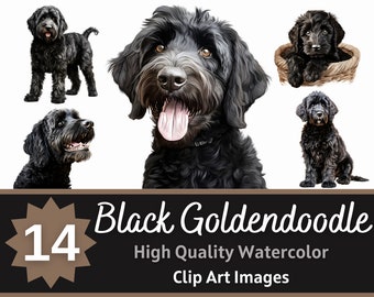 May include: A set of 14 watercolour clip art images featuring black Golden Doodle dogs in various poses. The images are high quality and perfect for digital projects.