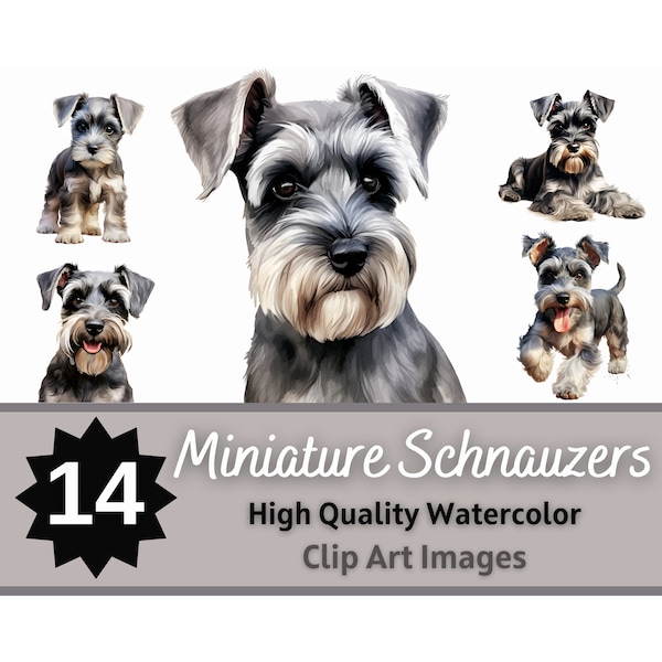 Miniature Schnauzer Clipart Watercolor Bundle | Dog Portrait | Mini Schnauzer PNG | Junk Journal | Pet Memorial | Cardmaking Embellishment