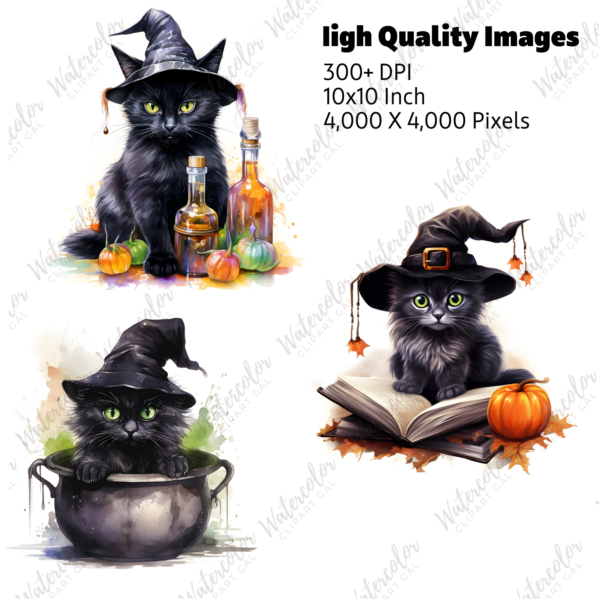 Halloween Witchy Cat Clipart PNG Watercolor Bundle Halloween - Etsy