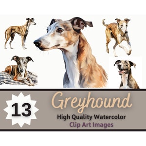 Pacchetto acquerello Clipart Greyhound / Ritratto del cane / PNG del levriero / Cani del diario spazzatura / Memoriale dell'animale domestico del levriero / Abbellimento per la creazione di carte
