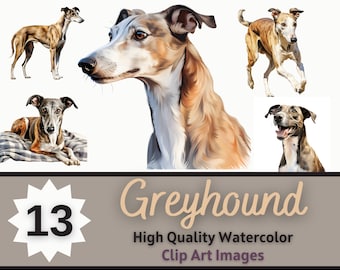 May include: Watercolor clip art images of greyhounds in various poses. The image includes a close-up of a greyhound's face, a greyhound standing, and a greyhound running. The text in the image says "Greyhound" and "High Quality Watercolor Clip Art Images."