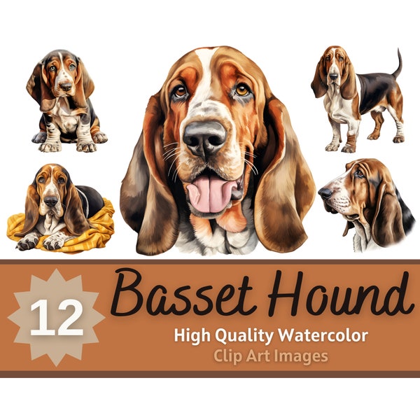 Basset Hound PNG Clipart Watercolor Bundle | Dog Portrait | Basset Hound Mom | Dog Lover Art | Junk Journal Dogs | Cardmaking Embellishment