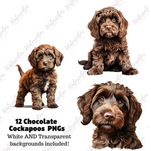 Chocolate Cockapoo Clipart Watercolor Bundle | Dog Portrait | Chocolate ...