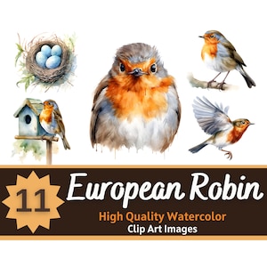 Rotkehlchen PNG Aquarell Bündel | Rotkehlchen Clipart | Schöne Vogelkunst | Junk Journal Vögel | Bunter Vogel Druck | Kartengestaltung