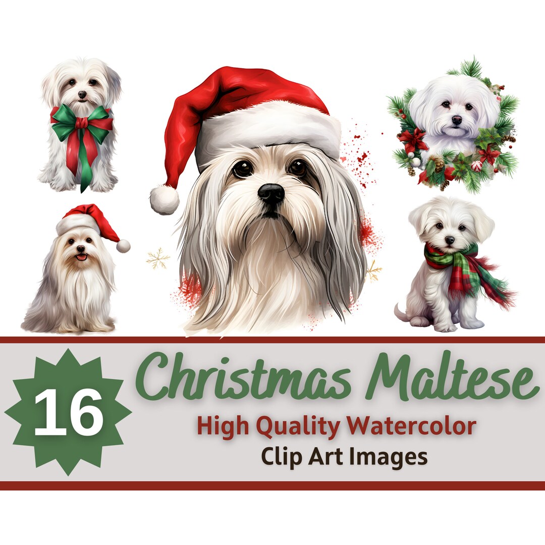 Christmas Maltese Clipart Watercolor Bundle | Dog Portrait | Christmas ...