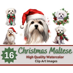 Pacchetto acquerello Clipart maltese di Natale / Ritratto di cane / Clipart di cane di Natale / Cani del diario spazzatura / Mamma maltese / Arte della cartolina di Natale
