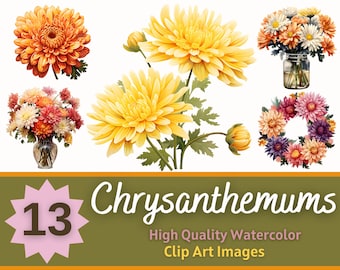Chrysanthemum Clipart Watercolor Bundle | Chrysanthemum PNG | Flowers Clipart | Floral Junk Journal | Cardmaking Embellishment