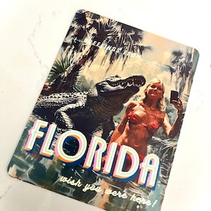 Lot de cartes postales Salutations de Floride : sirènes des marais, alligators et rêves de la fièvre de la Floride (lot de 3)
