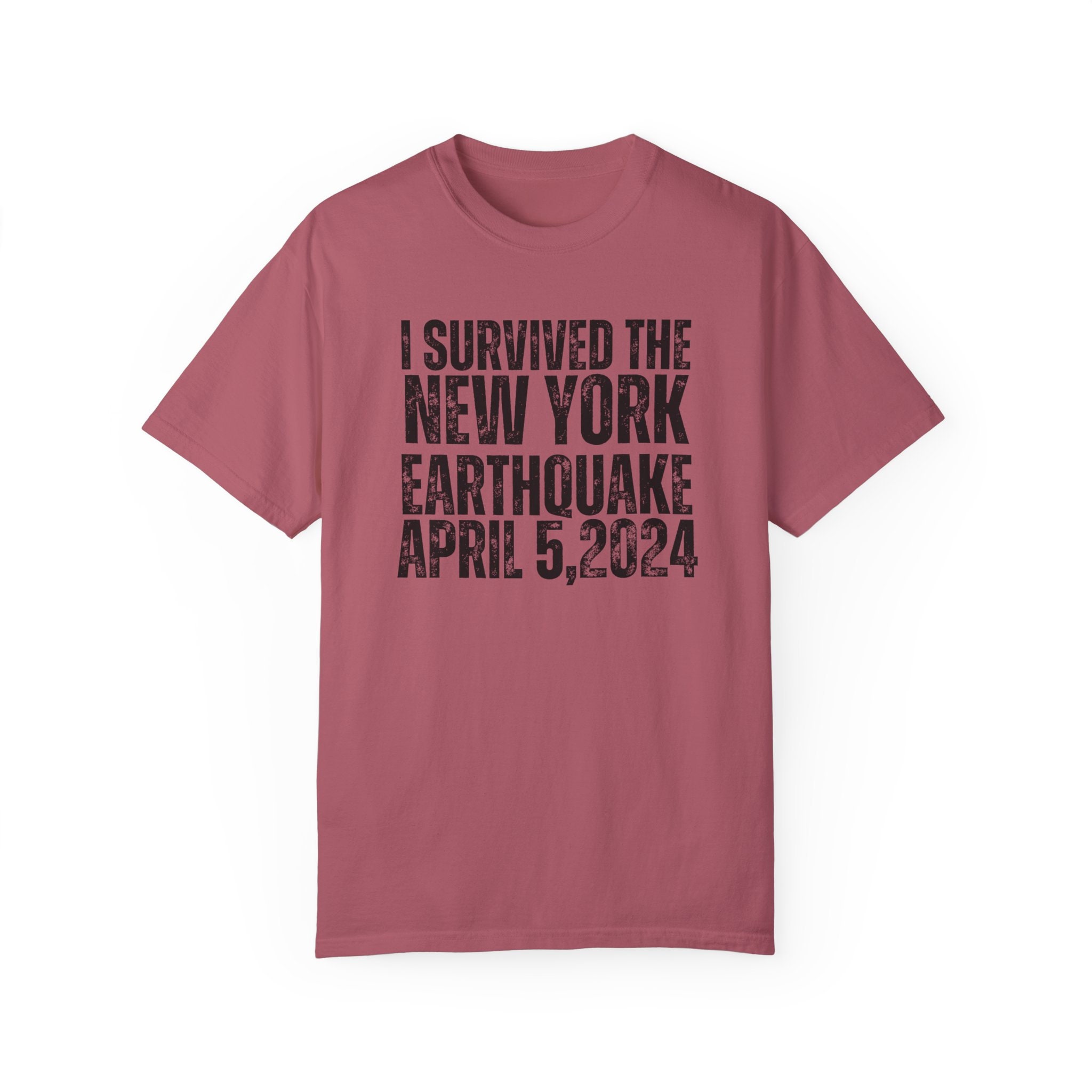 I Survived the Nyc Earthquake Shirt, New York City Sweatshirt, New ...