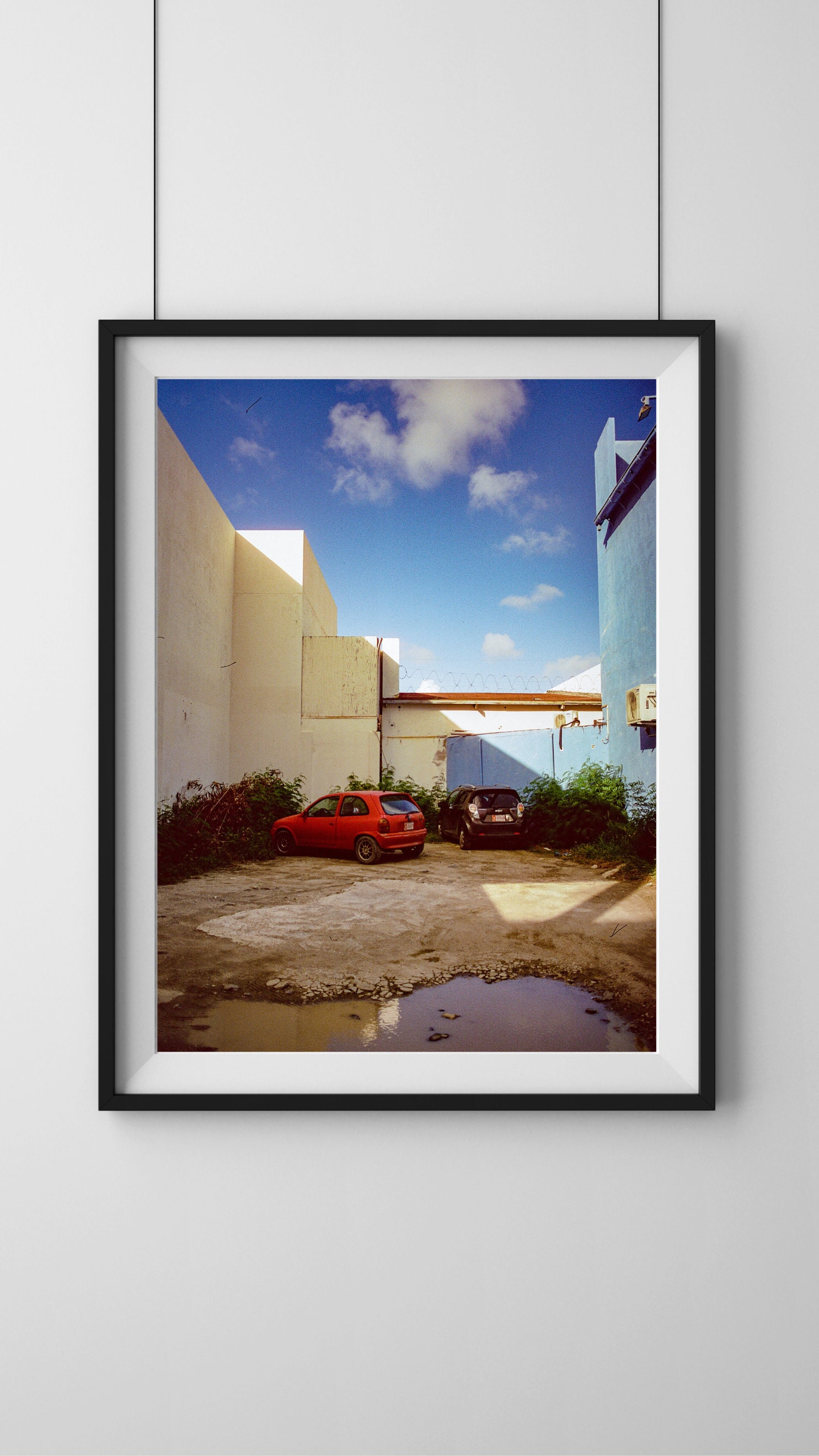 Canvas Art Print - 