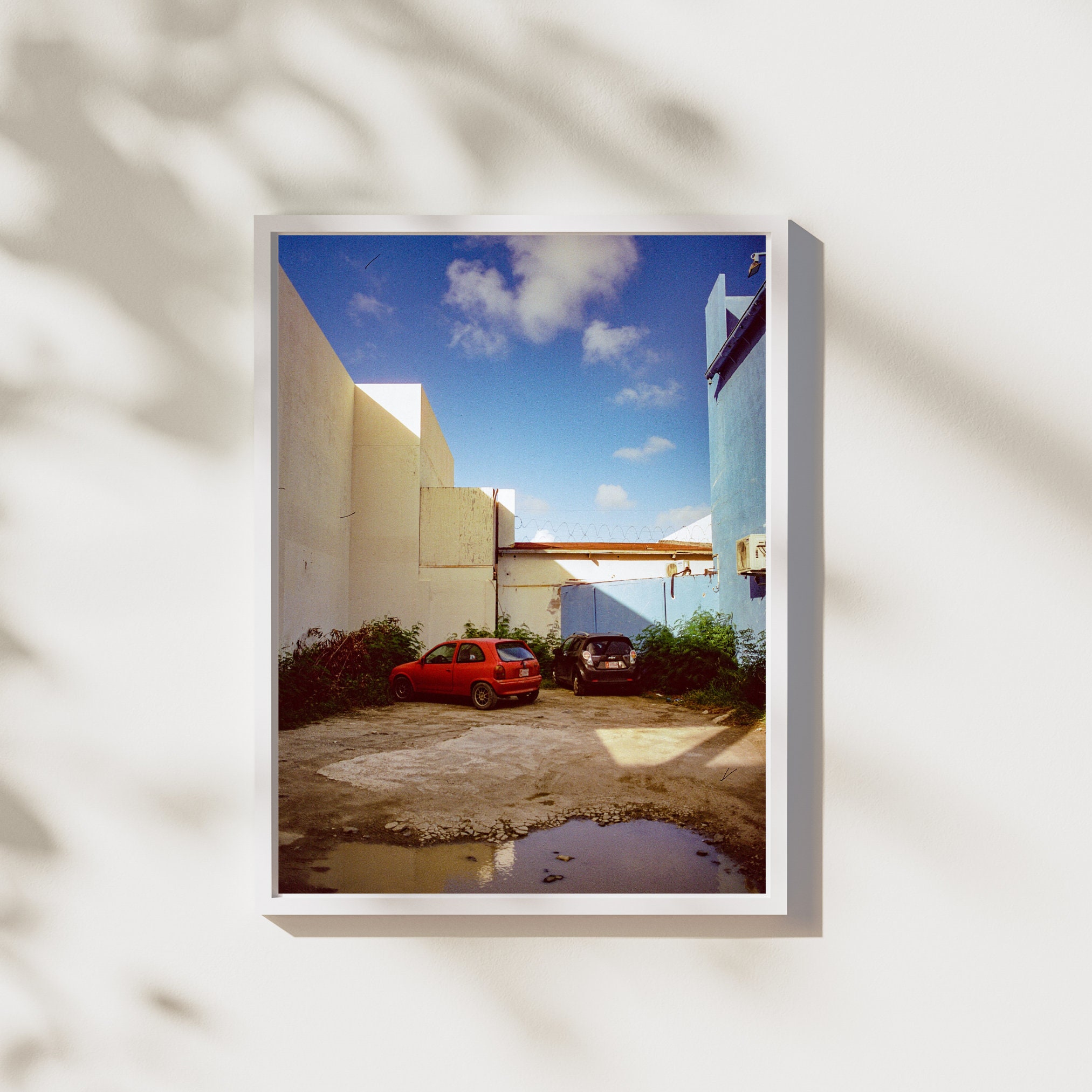 Canvas Art Print - 