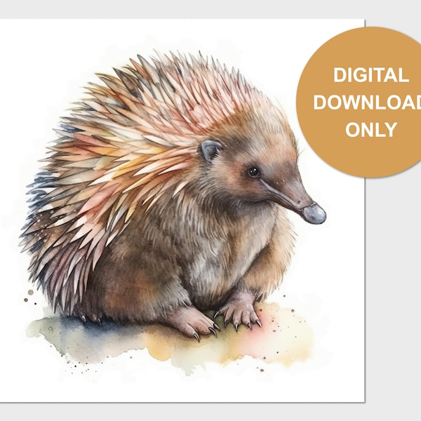 Australian Echidna Watercolour Art Print - Digital Download