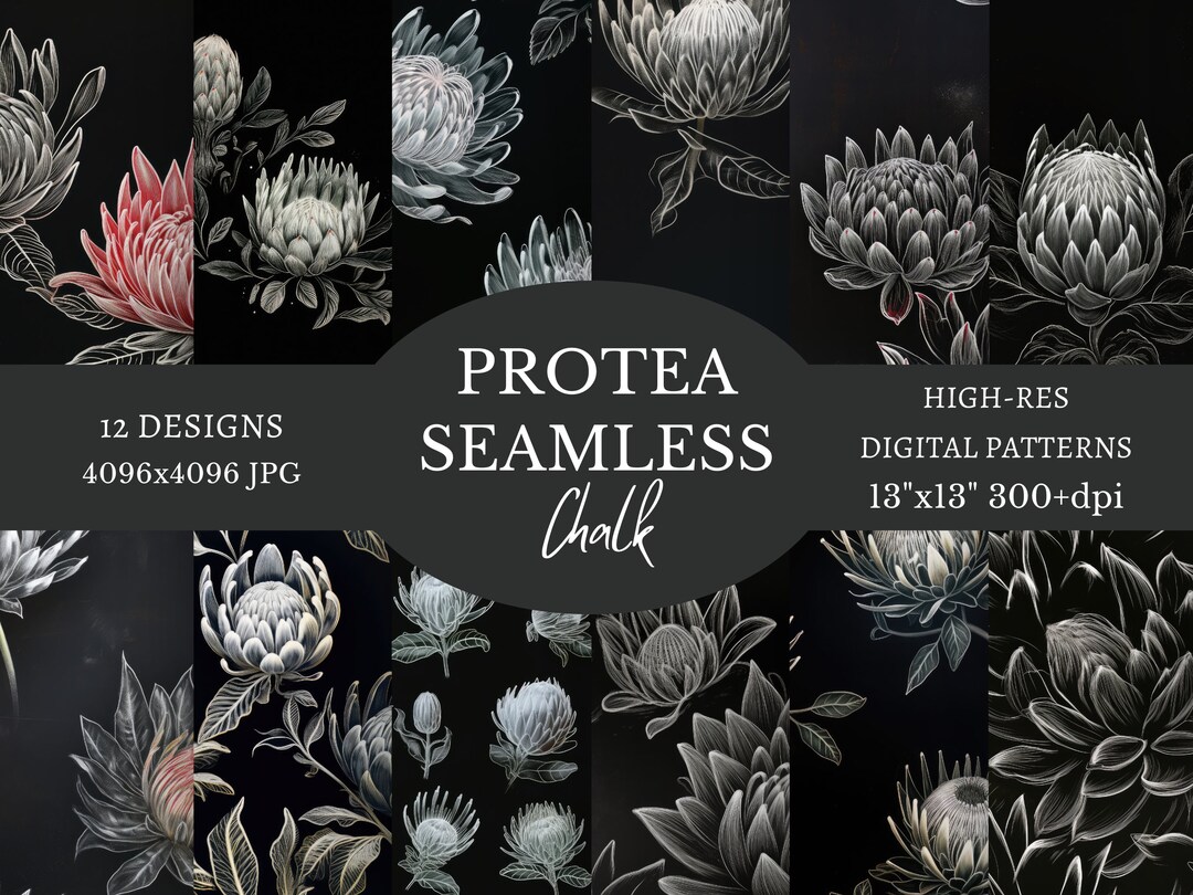 Protea Pattern Protea Seamless, Protea Pattern, Floral Seamless, Floral Pattern ...