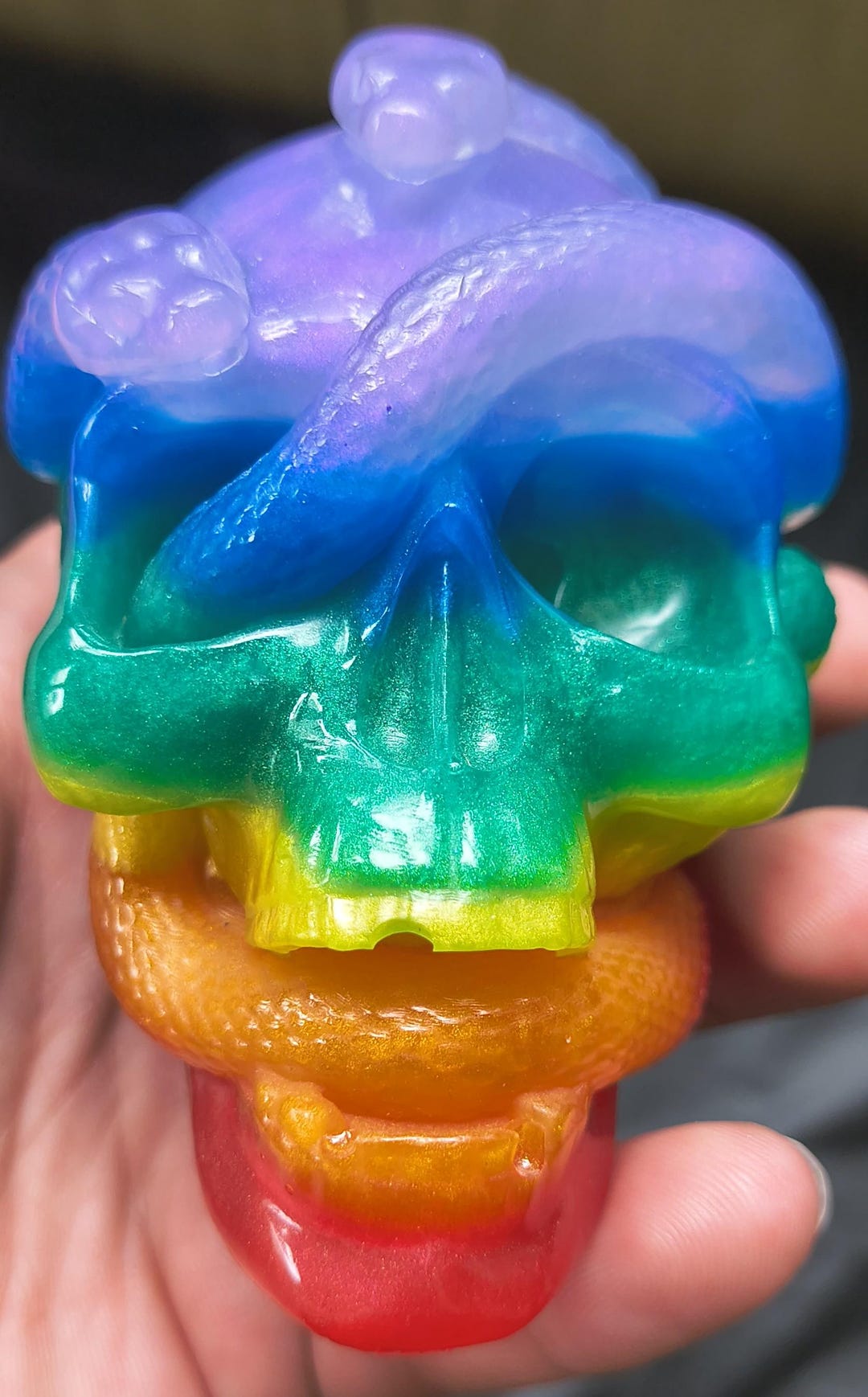 Epoxy Resin Rainbow Snake Skull - Etsy