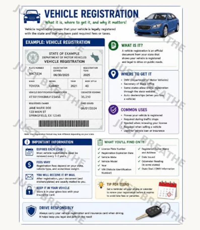 May include: An informational infographic titled VEHICLE REGISTRATION featuring a blue car illustration, a sample registration document with text including ABC1234, and sections explaining what it is, where to get it, common uses, and tips.