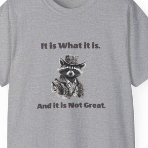 Funny Raccoon Meme T-Shirt: Retro Bandit Tee, Gift for Raccoon Fan Gray