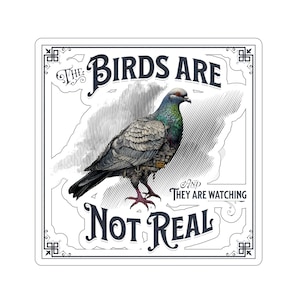Vogels zijn geen echte sticker, grappige complottheoriesticker, memesticker, Vogels zijn dronestheorie, transparante of witte sticker