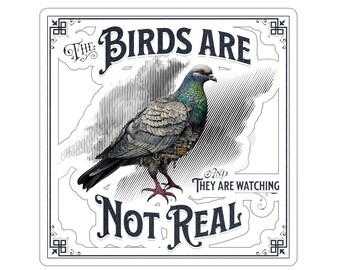 Birds Aren't Real Sticker, Funny Conspiracy Meme
