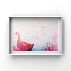 Geese Series, Limited Analog Art Photography, Mixed Media