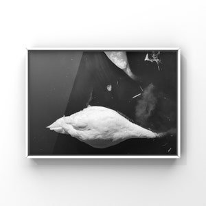 Kuu Series, Black and White Photography, Wall Art Print, Minimalist Art, Unframed
