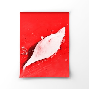 Stain Series, Redscale Photography, Limited Art Photography, Printing on transparent paper, Size A3 13”x19” 33x38