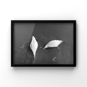 Kuu Series, Black and White Photography, Wall Art Print, Minimalist Art, Unframed