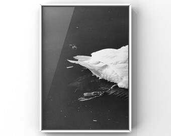 Kuu Series, Black and White Photography, Wall Art Print, Minimalist Art, Unframed